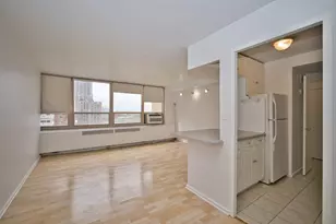 3950 N Lake Shore Dr, Chicago, IL 60613 - Photo 14