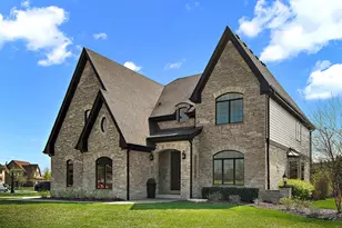 11529 Torino Way, Frankfort, IL 60423 - Photo 50