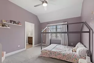 11529 Torino Way, Frankfort, IL 60423 - Photo 48