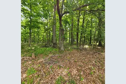 4143 Richview Road, Mt Vernon, IL 62864 - Photo 2