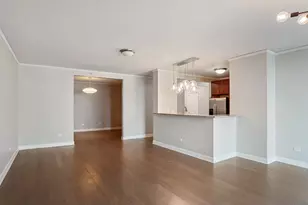 450 E Waterside Dr, Chicago, IL 60601 - Photo 4