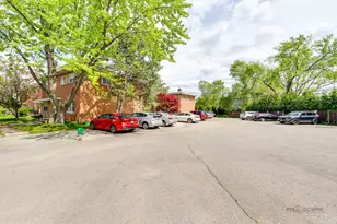 32 N Albert St, Mount Prospect, IL 60056 - Photo 16