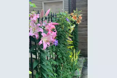 2334 W Medill Avenue, Chicago, IL 60647 - Photo 46
