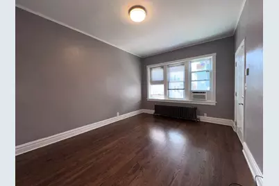 4815 S Elizabeth Street #1F, Chicago, IL 60609 - Photo 6