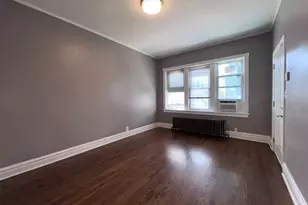 4815 S Elizabeth St, Chicago, IL 60609 - Photo 6