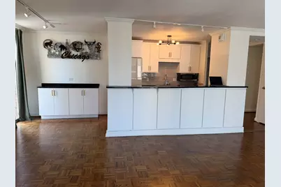 71 E Division Street #1601, Chicago, IL 60610 - Photo 6
