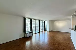 71 E Division St, Chicago, IL 60610 - Photo 4