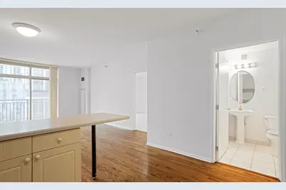 21 W Chestnut Street #1106, Chicago, IL 60610 - Photo 8