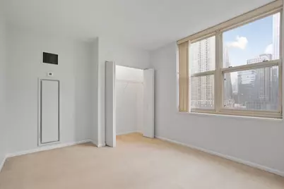 21 W Chestnut Street #1106, Chicago, IL 60610 - Photo 12