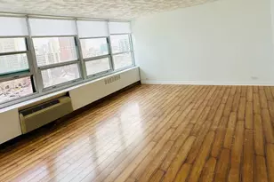 4800 S Chicago Beach Dr, Chicago, IL 60615 - Photo 4