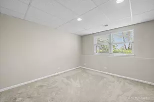 3941 Willow View Dr, Lake in the Hills, IL 60156 - Photo 46
