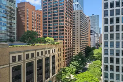 860 N Lake Shore Drive #8L, Chicago, IL 60611 - Photo 34