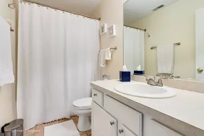 3209 Lightning Court, New Lenox, IL 60451 - Photo 26