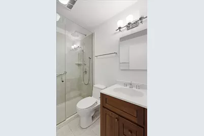1085 S Park Terrace, Chicago, IL 60605 - Photo 28