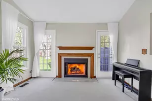 103 N Sterling Heights Rd, Vernon Hills, IL 60061 - Photo 10