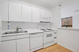 440 N Wabash Ave, Chicago, IL 60611 - Photo 6