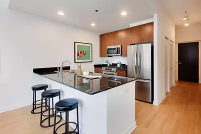 303 W Ohio Street #1504, Chicago, IL 60654 - Photo 8