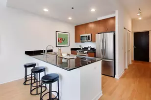 303 W Ohio St, Chicago, IL 60654 - Photo 8
