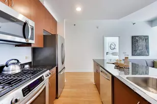 303 W Ohio St, Chicago, IL 60654 - Photo 10