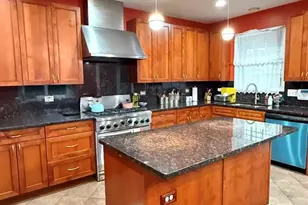 422 W 42nd Pl, Chicago, IL 60609 - Photo 16