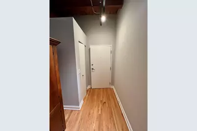 420 W Ontario Street #308, Chicago, IL 60610 - Photo 2