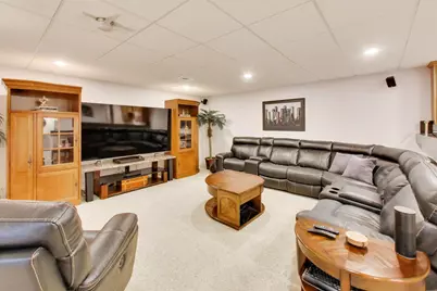 384 Du Pahze Street, Naperville, IL 60565 - Photo 20