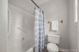 169 Woodlet Ln, Bolingbrook, IL 60490 - Photo 22