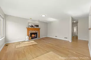 169 Woodlet Ln, Bolingbrook, IL 60490 - Photo 10