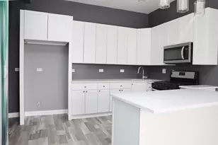 1253 S Millard Ave, Chicago, IL 60623 - Photo 16