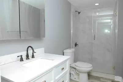 1253 S Millard Avenue, Chicago, IL 60623 - Photo 8