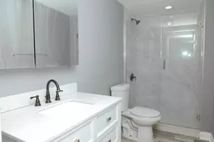 1253 S Millard Ave, Chicago, IL 60623 - Photo 8