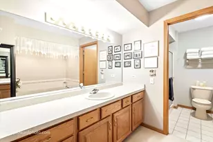 19423 Manchester Dr, Mokena, IL 60448 - Photo 16