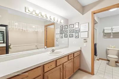19423 Manchester Drive #19423, Mokena, IL 60448 - Photo 16