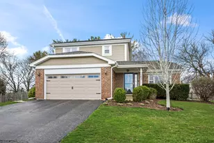 163 Denberry Ct, Lake Zurich, IL 60047 - Photo 1