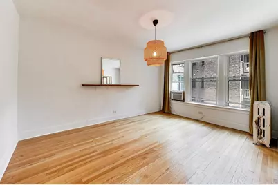 1231 E 53rd Street #1, Chicago, IL 60615 - Photo 28