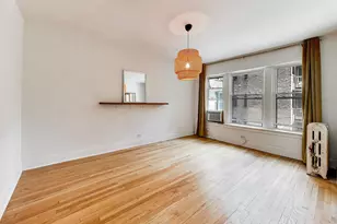 1231 E 53rd St, Chicago, IL 60615 - Photo 28