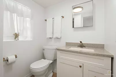 417 N Prospect Manor Avenue, Mount Prospect, IL 60056 - Photo 28