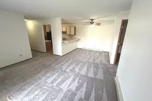 1345 Cunat Ct, Lake in the Hills, IL 60156 - Photo 2