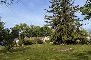 1028 S Walnut Ave, Arlington Heights, IL 60005 - Photo 2