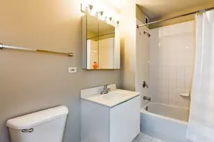 2 E Erie St, Chicago, IL 60611 - Photo 4