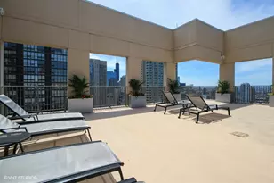 2 E Erie St, Chicago, IL 60611 - Photo 12