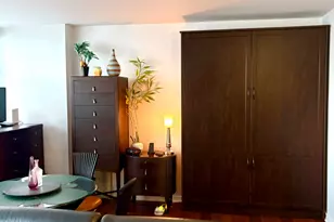 4800 S Chicago Beach Dr, Chicago, IL 60615 - Photo 12