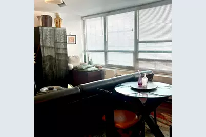 4800 S Chicago Beach Drive #1209S, Chicago, IL 60615 - Photo 8