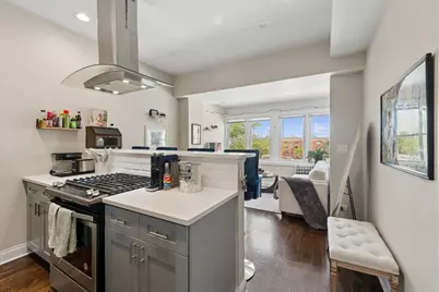 2451 W Rice Street, Chicago, IL 60622 - Photo 20