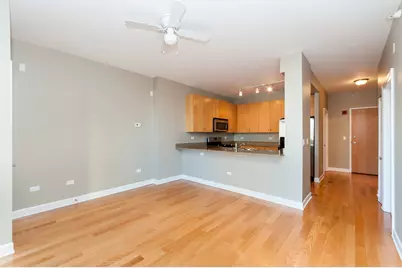 451 W Huron Street #703, Chicago, IL 60654 - Photo 8