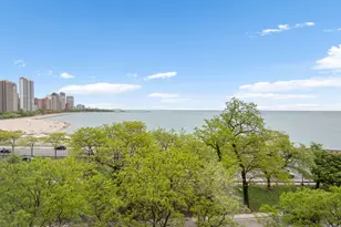 219 E Lake Shore Dr, Chicago, IL 60611 - Photo 38