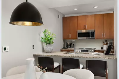 850 N Lake Shore Drive #201, Chicago, IL 60611 - Photo 14