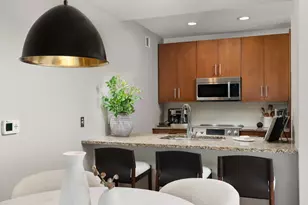850 N Lake Shore Dr, Chicago, IL 60611 - Photo 14