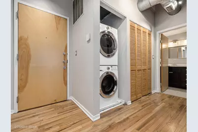 2310 S Canal Street #310, Chicago, IL 60616 - Photo 10