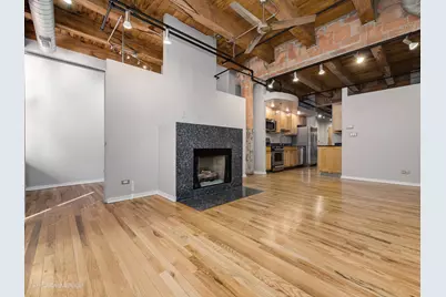 2310 S Canal Street #310, Chicago, IL 60616 - Photo 4